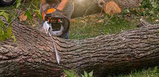 Best Aeration Services  in Morgantown, KY