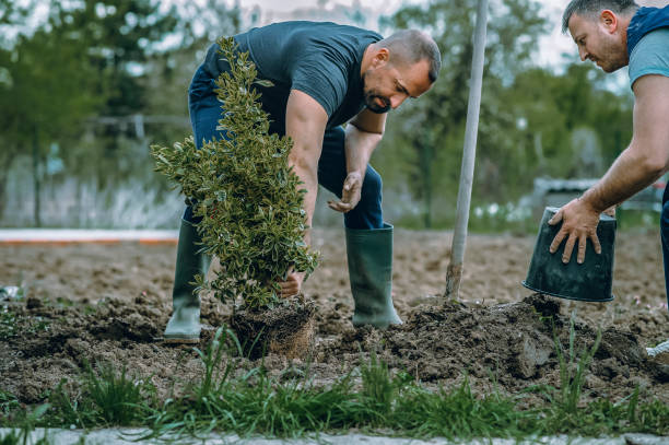 Best Weed Control  in Morgantown, KY
