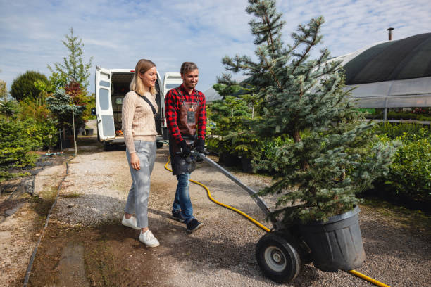 Best Arborist Consultation Services  in Morgantown, KY